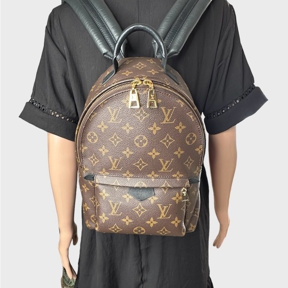 Louis Vuitton Monogram Palm Springs Backpack PM - Picture 14 of 17